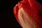 Water drops on a red tulip flower petal macro still