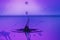 Water Drops Splashing With Purple Splatter Background