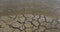 Water and Drought in the Marshes of Camargue, in the South East of France