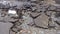 Water erosion of the road. Broken asphalt background. Danger hole, stone gray backdrop