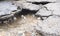 Water erosion of the road and red car. Broken asphalt background. Danger hole, stone gray backdrop