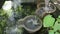 Water fall brown bowl decorated in garden pond