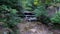 A water fall flows over rocks in a lush green autumn Japanese forest.