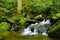 Water Fall Great, Smoky Mountains National Park