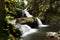 Water Fall in the Hawaii Tropical Botanical Garden