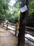 Water fall at Shillong Meghalaya beautiful river bridge