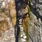 Water falling from rocks over pebbles details closeup stone art
