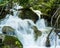 Water falls in Mediterranean forest, with large stones and intertwined trees