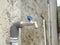 water faucet with paralon pipe in the yard of the house