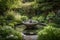 water feature with captivating reflections in lush garden landscape