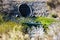 Water flood control gate, San Francisco bay trail, Mountain View, California