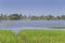 Water flooding rice fields in Thailand.