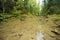 The water flow in the mountain river. Mountain river in the Carpathians.