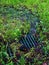 Water flow in the park in the drain ditch