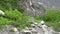 Water flow splashing on stones in mountain cascade waterfall.