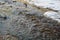 Water flowing along farmland during the spring melt