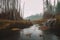 water flowing around a partially built beaver dam