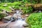 Water Flowing in Champa Thong Waterfall