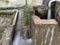 Water flowing into the channel which is pumped by submersible pump into agricultural natural rice field in farm