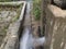 Water flowing into the channel which is pumped by submersible pump into agricultural natural rice field in farm