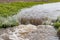 Water flowing through farm field in waterway