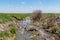 Water flowing through farm field in waterway