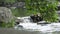 Water flowing gently down slow river at Glenarm