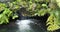 Water flowing into lake with nature rock and plant fern