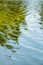 Water flowing in lake pond swamp or stream with reflection of trees