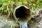 Water flowing from the open outlet of a metal agriculture drainage tile