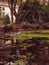 Water flowing out of a fountain shaped like the Great Egret bird