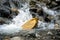 Water flowing over river rocks near mountains in Nathia Gali, Abbottabad, Pakistan