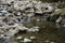 water flowing over rocks