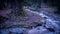 Water flowing over rocks. Beauty in nature. Long exposure. Lausanne, Switzerland