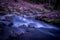 Water flowing over rocks. Beauty in nature. Long exposure. Lausanne, Switzerland