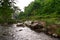 Water flowing over rocks in a lush green forest