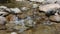 Water Flowing Over Rocks in a Stream