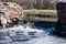 Water Flowing Over Waterfall on Old Mission Dam