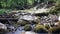 Water flowing in rocks in wild mountains river.