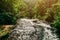 Water flowing from a secluded waterfall in the north Georgia Mountains