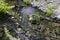 water flowing in a small narrow stream in summer