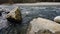 Water flowing in spring river, large rocks visible above surface