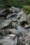 Water flowing through stones,beautiful waterfall inside Himalayan forest, Sikkim, India. Sikkim has many scenic waterfalls flowing