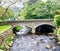 Water Flowing Under Bridge