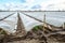 Water flows through canals into a greenhouse tunnel with a plantation of potato bushes. Growing crops in early spring using