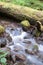 Water Flows Down Mossy Brook Wild Forest Stream Waterfall