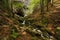 Water flows out of the Cioclovina cave