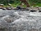 Water flows under the bamboo bridge