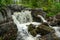 Water flushing in a creek in Sweden