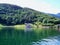 Water, forest fjord on a Sunny day, tourism, travel in Norway